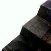 Byte Plantation