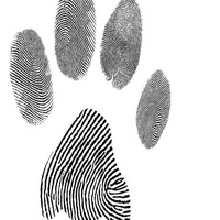 B.S.E b2b Latex Zebra - 90 Minutes till Meltdown by Latex Zebra