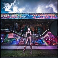 The Carnival of Chaos Volume 2. The Hip hop Parade by Madame Electrifie