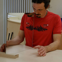 Spiegelbild-Bewegung hilft bei chronischen Schmerzen by HAWK Radio