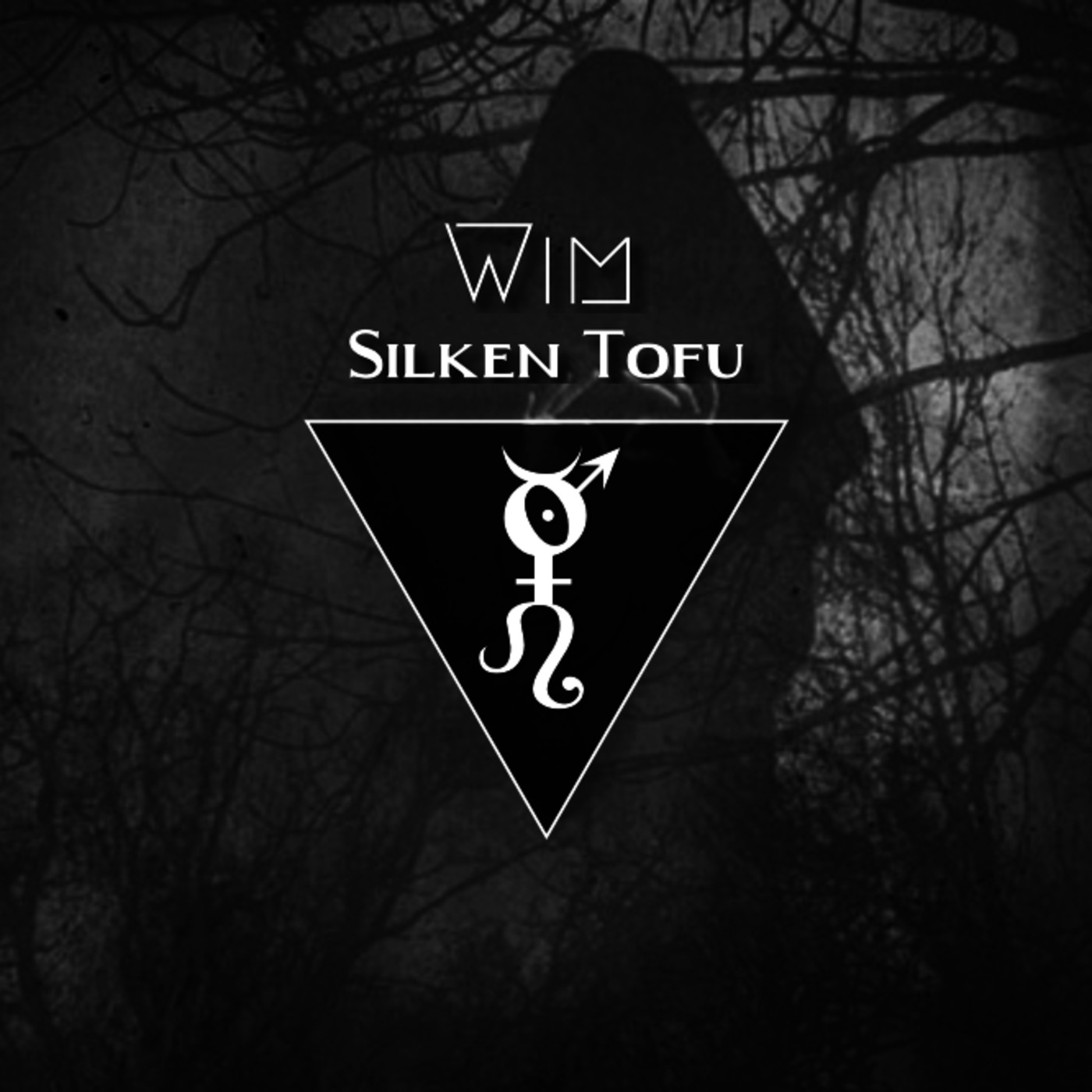 Obscurum Noctis 9 - Yule Edition - Wim from Silken Tofu episode artwork