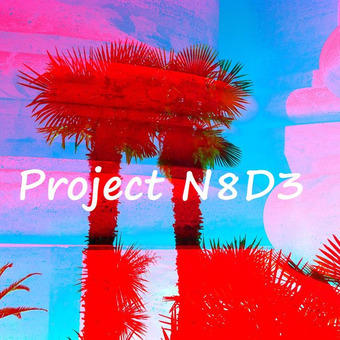 Project N8D3