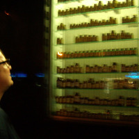 Finn Johannsen - Big League Complex by Finn Johannsen