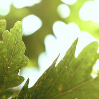 QLab - Exclusive Nightflight Guest Mix - 13.10.14 by Tobias Koch - Nightflight - Radio FRITZ