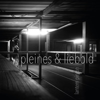 Lantern Pinion by noise canteen