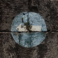 METALES - Doreste & Guillén by Atilio Doreste