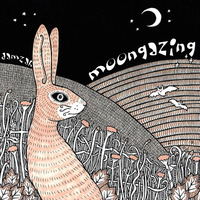 DaMzaH - Moongazing by DaMzaH