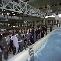 N|L5 int my = main(STREAM *pointer) by N|L5